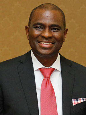 Mr. Segun Ogunsanya NESG Board Member